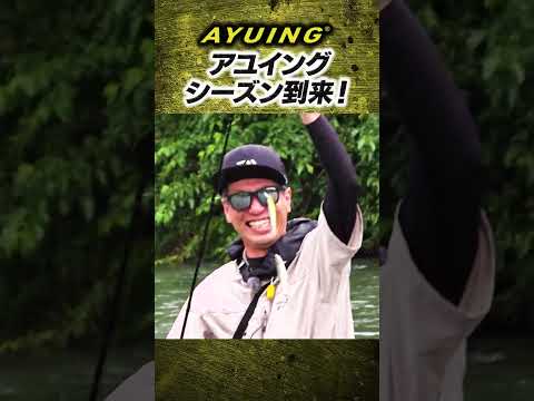 アユイングシーズン到来【暑い夏でも超涼しい快適フィッシング】#shorts