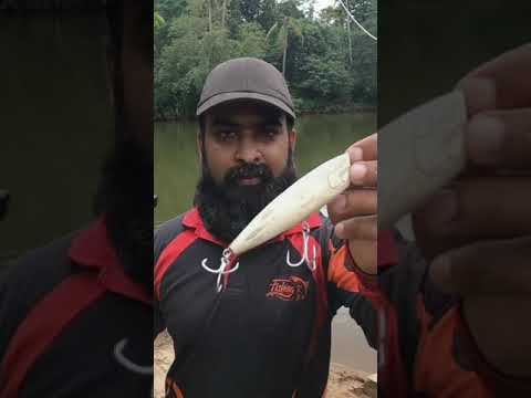 ഒരു തടിക്കഷണം മതി, മീൻ പിടിക്കാം #woodenlurefishing
