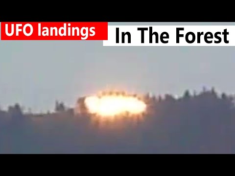 5 Astonishing ufo forest landings that defy explanation : ufo sightings worldwide