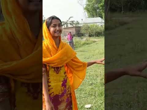 গরুর নাচ