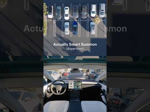 Driverless Tesla vs Costco parking lot