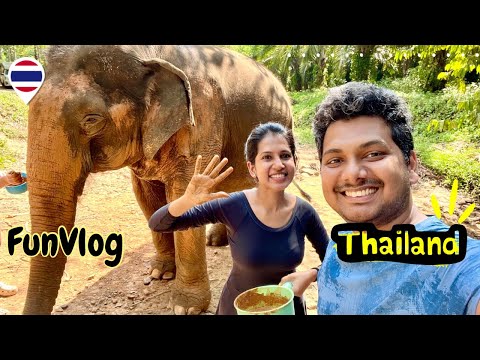 Feeding the giant elephants 🐘 skincare for elephants ⁉️😂 Tamil couple vlog #tamil #thailand #travel