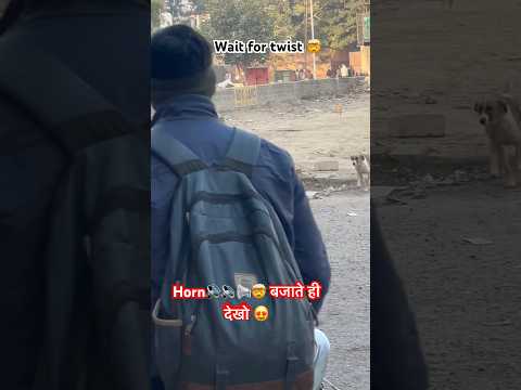 Horn🔊🔉📢🤯 बजाते ही देखो 😍|#pets