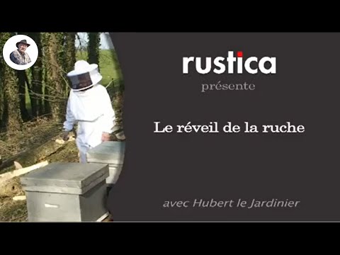 Apiculture : le réveil du rucher au printemps