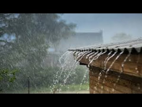 Cô Năm Cà Mau - Ngày Mưa Quê Cơm Gia Đình Lẩu Mắm Kho Bông Súng ….