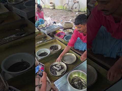 আজকে তারক দাদার কাছের থেকে দারুন মাছ নিলাম #yutubeshorts #fishmarket #fishing #trendingshorts