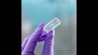 Artemis II’s AVATAR and a sungrazing comet - Planetary Radio