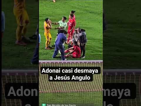 penaaal para los tigreees