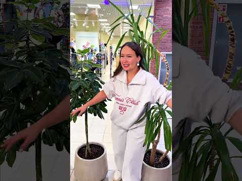КАМИЛЛА ЗАСТУПИЛАСЬ ЗА ЧАПИТОСИКА😊