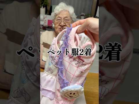 元高島屋店員の幾子さんがお包みするペット服