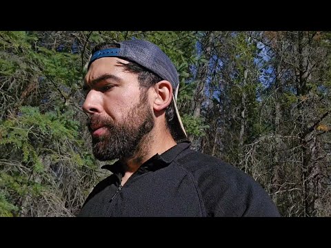 BIGFOOT IS REAL | Thousands of People Have Had Encounters