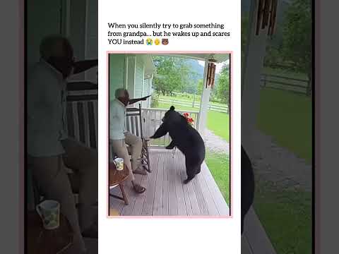 🐻: “Just coming for snacks…”👴: “Snacks?? You scared ME, son!”