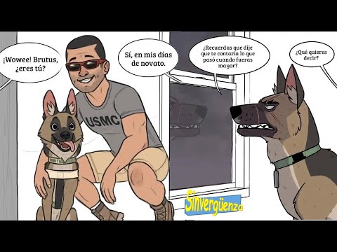 Lo que nadie sabe sobre el origen de Brutus 😢