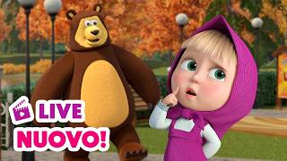 🔴 LIVE! Anteprima 💥 Nuovo episodio 💥 Non perdere la testa! 🤯🌀 Masha e Orso