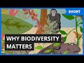 Biodiversity and Undiscovered Species