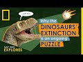 Mass Extinction and Evolution Concepts