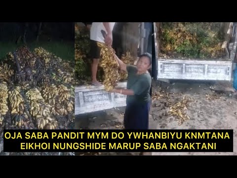 OJA SABA PANDIT MYM DO YWHANBIYU KNMTANA EIKHOI NUNGSHIDE MARUP SABA NGAKTANI