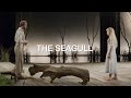 Themes and Characters in 'The Seagull'