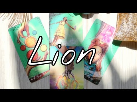 LION UN MIRACLE‼️ET OUI LA LOI D’ATTRACTION TE DONNE UN MIRACLE‼️PENSE BEAU -REÇOI BEAU🔥