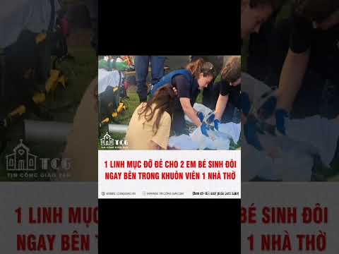 Tất Cả Là Hồng Ân Của Chúa #caunguyen #shortvideo #nhacthanhca #nhachaymoingay #chuagiesu