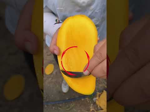 Nova Manga Incrível do Japão 🥭