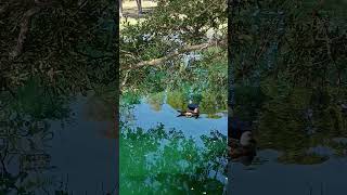 Los mejores paisajes
