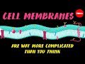 Exploring the Complexities of Cell Membranes