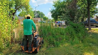 We Didn’t Expect COPS to Show Up During This OVERGROWN Yard Transformation…
