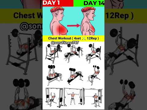 Fitness plus | fitness |fitness workout | #fitness #fitnessshorts #viral #chest