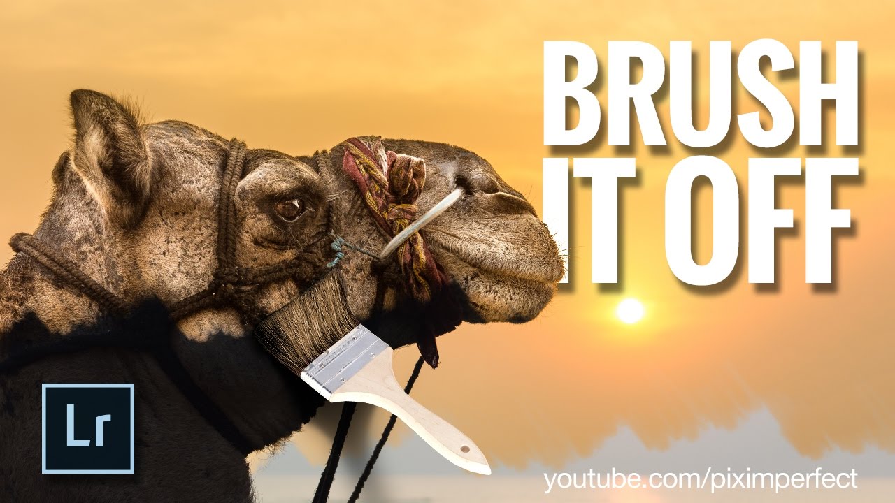 Adjustment Brush in Lightroom - The Key to Professional Look Lightroom Tutorials #10