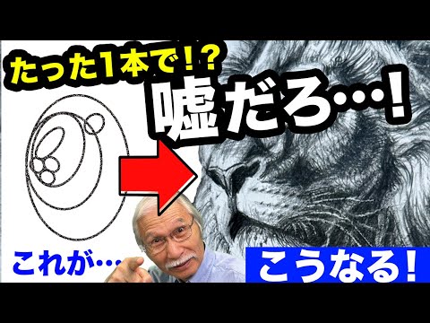 嘘だろ…!? 鉛筆だけで生まれる“衝撃の動物画”がヤバすぎた！