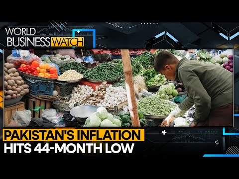 Pakistan's Inflation Rate Drops To 44-month Low Of 6.9% | World Business Watch | WION