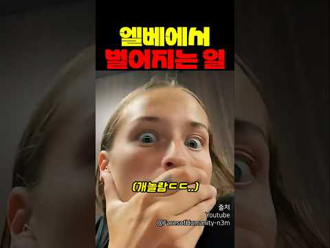 개복치 수준이라는 <strong>해외</strong> 엘베 ㅋㅋㅋㅋ