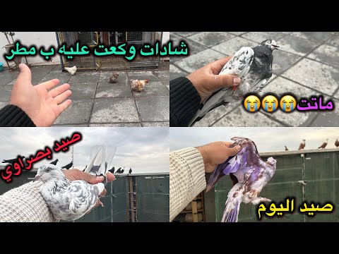 شادات حطه عليه ب مطر😱صيد اليوم 2 ❤️جبتلكم شي عجيب😎😎😎