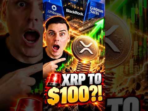 🚨 <strong>XRP</strong> TO $<strong>100</strong>?!