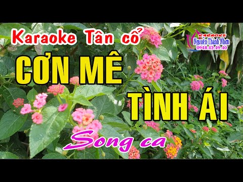 Karaoke tân cổ CƠN MÊ TÌNH ÁI – SONG CA [ Minh Vương – Lệ Thuỷ ]