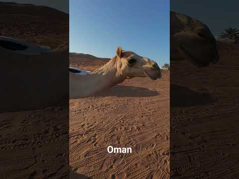 Bidya sand beach Oman