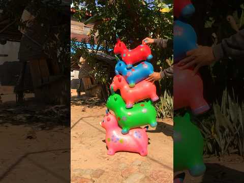 💜+💛+💚 Goat Color #shortvideo