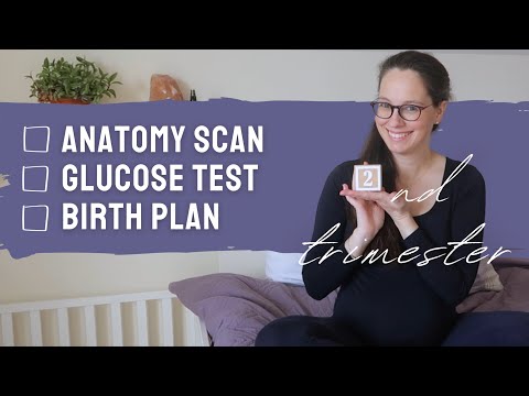 Your (and my) holistic second trimester