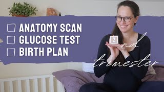 Your (and my) holistic second trimester