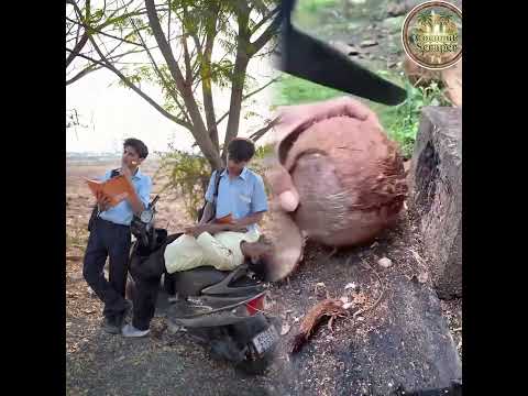 Blinkit Vs Zepto Vs Instamart-कौन है सबसे ज्यादा फास्ट 🥶#shorts