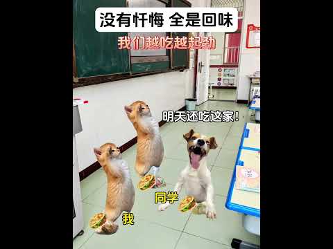 猫の動画サムネイル - 一人是惩罚，三人就是享受#有趣 #猫meme #猫meme剧场 #猫meme小剧场 #内容过于真实  #故事 #貓 #猫猫meme小剧场 #喵不可言