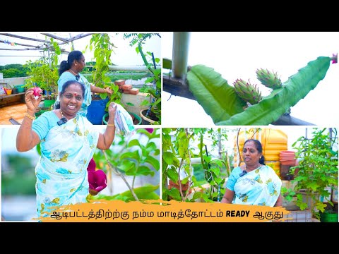 ❤️ஆடிபட்டத்திற்ற்கு நம்ம மாடித்தோட்டம் READY ஆகுது  |TERRACE GARDEN AADIPATTAM |@Ammaveetusamayal