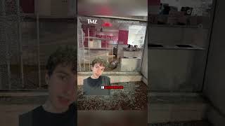 Man throws a beer keg through the window of Georgetown Cupcake