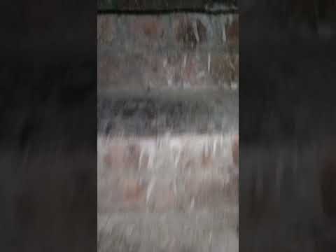 Achanak bhoot a Gaya#ghost #short video