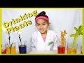 Plant Water Absorption Concepts