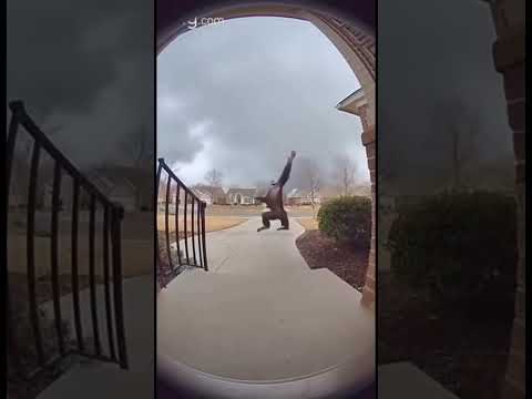 When luck is on your side and you become a traveling monkey 😭😹