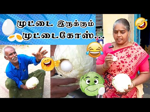 முட்டைகோஸுக்குள்ளே முட்டையா...🤣😂😂🤣😆😜@Kiramathuveadikkai #funny #comedy #fun #village