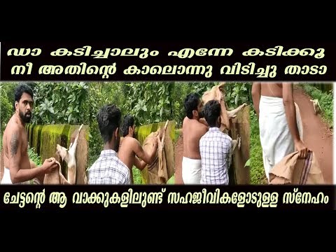 Ithu Pole Sahajeevikalodu Karunayum Snehavum Ulla Aalukal Valare Churukkam Aanu  | 💓💓