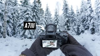 POV Nature Photography in a Quiet Winter Forest | Sony A7III